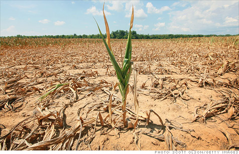 us-crop-export, Scott Olson, Getty Images